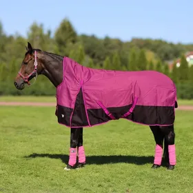 Comparer les prix de Couverture dextérieur pour cheval York Eskimo 100 g - pink - Rose - 95 cm