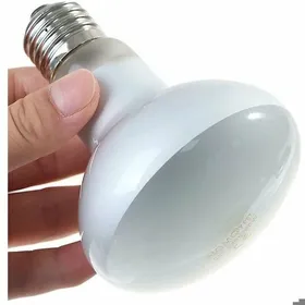 Meilleurs prix pour Lampe chauffante UVA UVB pour reptiles - MICH - 60W - Ampoule pour tortue - Chauffante et UV - Étanche