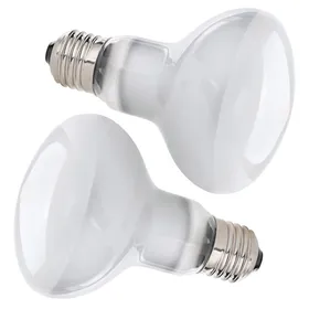 Meilleurs prix pour Lampe Chauffante 2pcs 50W Lampe Chauffante Tortue UVA E27 Spiral Lampe Reptiles220V Silver Plated Glass Ampoule Lamp
