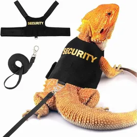 Meilleurs prix pour Ensemble harnais et laisse pour dragon barbu (1 pièce) - Harnais réglable pour lézard et reptile - Laisse pour animal de compagnie