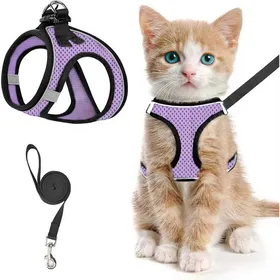 Meilleurs prix pour Harnais pour chat taille S + laisse 150cmharnais respirant et réfléchissant anti-évasion pour chat - Violet