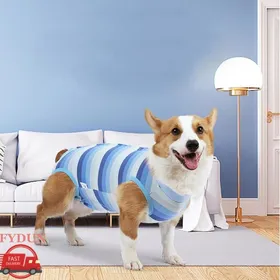 Meilleurs prix pour FYDUN Costume de récupération pour chien Combinaison de récupération pour chien animalerie blouson Bande de couleur bleue L