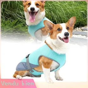 Meilleurs prix pour Garosa Gilet de refroidissement pour chien Gilet rafraîchissant pour chien veste rafraîchissante animalerie blouson Bleu clair XL