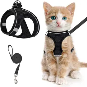 Meilleurs prix pour Harnais pour chat taille M + laisse 150cmharnais respirant et réfléchissant anti-évasion pour chat - Noir