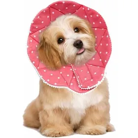 Meilleurs prix pour Collerette post-chirurgie pour animaux - OKZ - Confortable - Imperméable - Résistante aux griffures