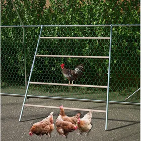 Comparer les prix de Perchoir pour Poules Grand Format Structure Robuste Montage Facile Barres en Bois Métal Galvanisé Gris - UVRION