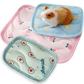 Meilleurs prix pour Lot de 3 Tapis Lapin Cochon dInde pour Petits Animaux Cochon dInde Accessoire Coussin de Refroidissement pour Lapin