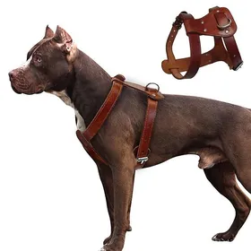 Comparer les prix de Harnais pour chien en cuir véritable très résistant pour petits, moyens et grands chiens, 30-50 cm