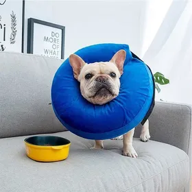 Meilleurs prix pour Collier conique gonflable pour chien et chat collier animal souple et gonflable après protection E collar avec boucle
