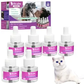 Meilleurs prix pour Boite économique 6 recharges Felicalm – Phéromone Anti-stress chats &amp  chatons