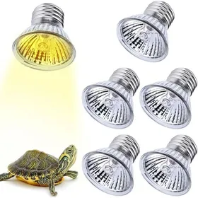 Meilleurs prix pour Lot de lampes chauffantes pour reptiles - PZCC - 6 pièces - E27 - 25W - UVA/UVB