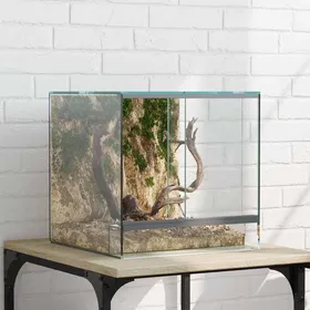 Comparer les prix de Transparent Terrarium Durable - Résistant aux rayures - avec stockage Transparent 30 x 30 x 30 cm Verre A2745