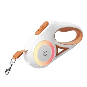 Meilleurs prix pour Laisse rétractable pour chien avec lumière LED  Laisse réfléchissante pour promenade (orange)
