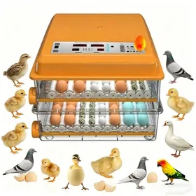 Meilleurs prix pour Incubateur dœufs 128 œufs rotation automatique des œufs contrôle de lhumidité éleveur de volaille pour poulets canards oiseaux