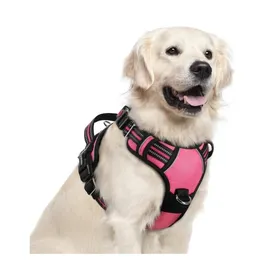 Meilleurs prix pour rabbitgoo Harnais Chien Anti Traction avec 3 boucles pour Chien Facile à Mettre Harnais Réfléchissant Réglable pour Chien Rose XL