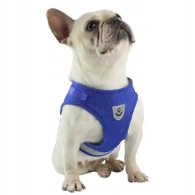 Meilleurs prix pour HARNAIS DE MARCHE SANS PRESSION RÉGLABLE RÉFLÉCHISSANT POUR CHAT + LAISSE TAILLE XS