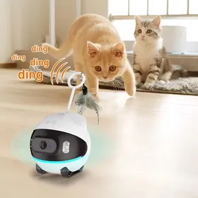 Meilleurs prix pour Jouets interactifs pour chats - Phoesky - À piles - Poulie - Caméra 4G WIFI - Mode double intelligent