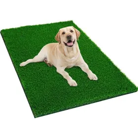Meilleurs prix pour Tapis durine pour chien - Unbrand - Vert - 40x60 cm - Gazon imitation - Intérieur et extérieur - Facile à nettoyer