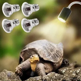Meilleurs prix pour Lampe Reptiles - Tortue Terrestre - 25W - UVA UVB - Rotation 360° 3CQINGSHOP