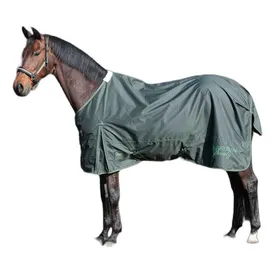 Comparer les prix de Couverture dextérieur pour cheval Harrys Horse Thor 0g - Marron - 215 cm