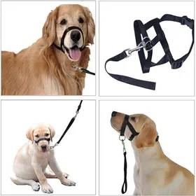 Meilleurs prix pour Licol Noir pour Chien Harnais de Tte Rflchissant YYV