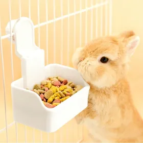 Meilleurs prix pour Bol pour Lapin Bol à Eau pour Cage Bol Alimentation et Eau 2-en-1 pour Chiot Chat Lapin Cochon dInde Furet et Autres(Blanc)