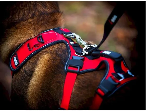 Harnais pour chien I-DOG Confort Trek