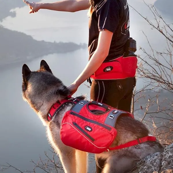 Harnais pour chien I-DOG Confort Trek