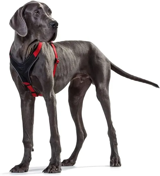 Hunter - Harnais - Chien - UTVP410