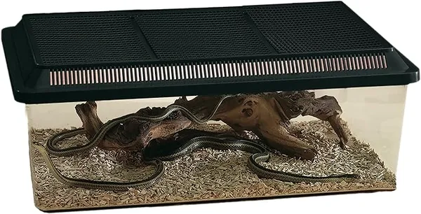 Boîtes de transport pour réptiles Nobby Pet Fauna-box