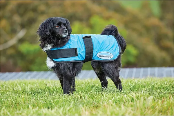 Manteau rafraîchissant pour chien Weatherbeeta Therapy-Tec