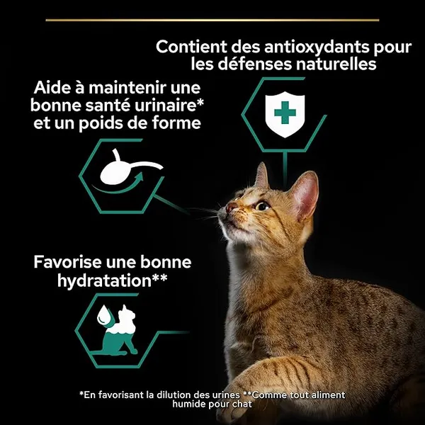 PRO PLAN Maintenance Multivariété Sterilised Boeuf & Poulet 10 x 85 g