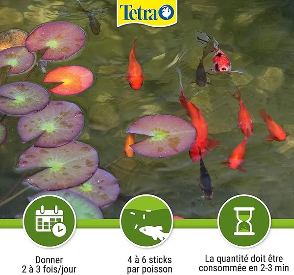 Sticks Pour Poisson De Bassin Tetra - Le Pot De 1l