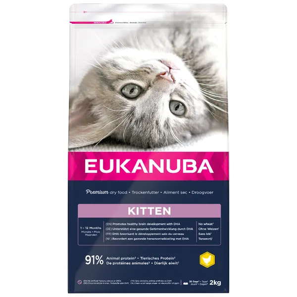 Healthy Start Kitten Eukanuba - Croquettes pour chat
