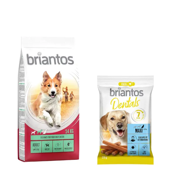 Adult agneau, riz Briantos Croquettes pour chien