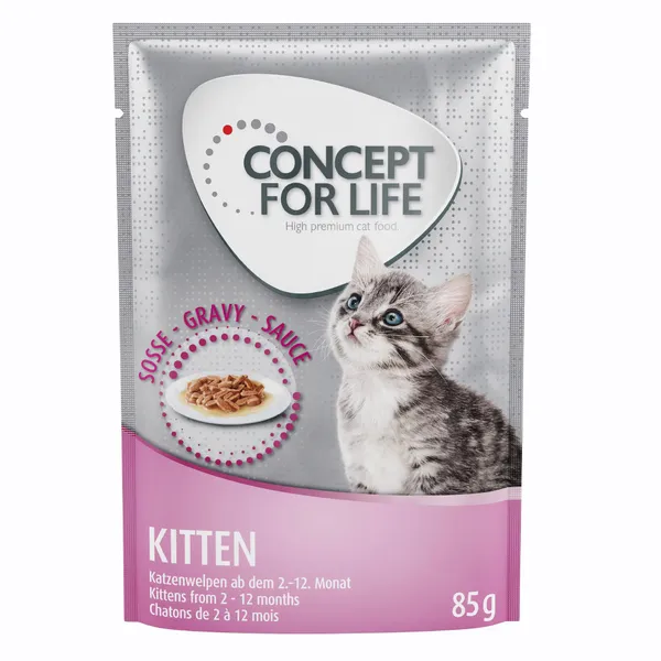 Maine Coon Kitten + sachet Kitten en sauce Concept for Life - pour chat