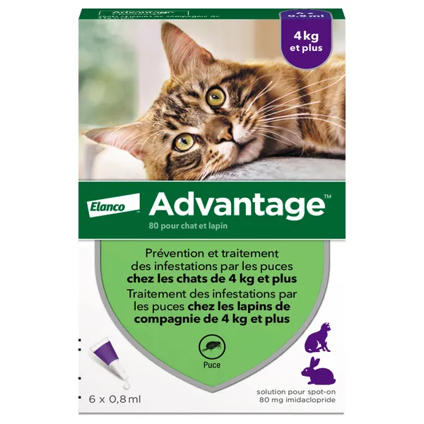 Pipettes Ad-vantage 80 pour chat et lapin de plus de 4 kg