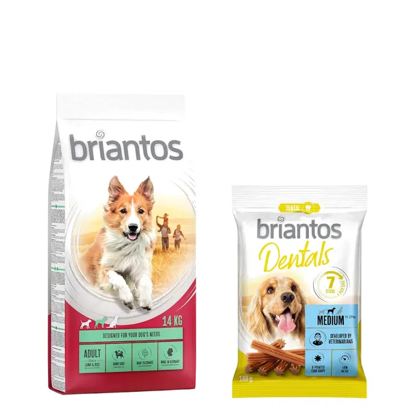 Adult agneau, riz Briantos Croquettes pour chien