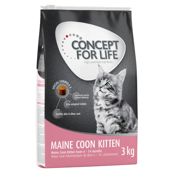 Concept for Life Maine Coon Kitten - Croquettes pour chaton