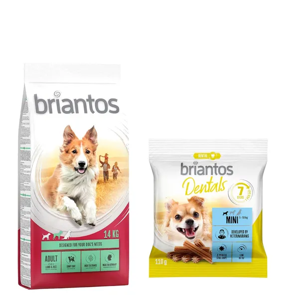 Adult agneau, riz Briantos Croquettes pour chien