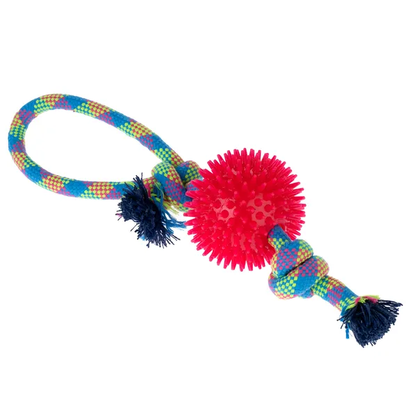 zooplus Basics corde avec balle 32x10cm pour chien
