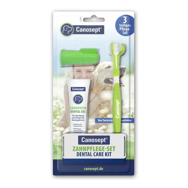 1 pièce Kit de soins dentaires de Canosept, pour chiens