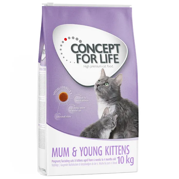 Mum & Young Kittens chatte et chaton Concept for Life - pour chat
