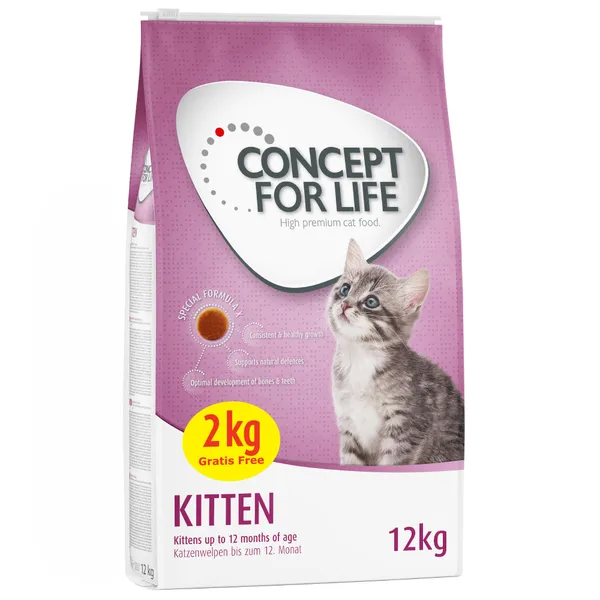 Kitten Concept for Life pour chaton