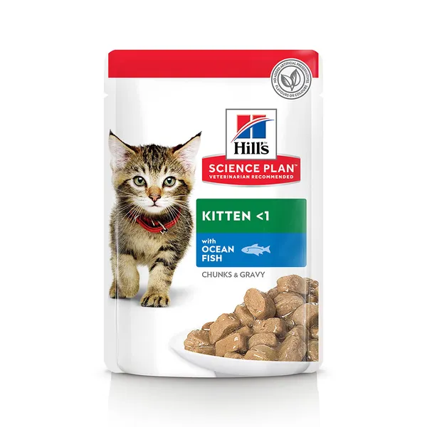 Kitten poisson de mer Hill's Science Plan - Pâtée pour chat