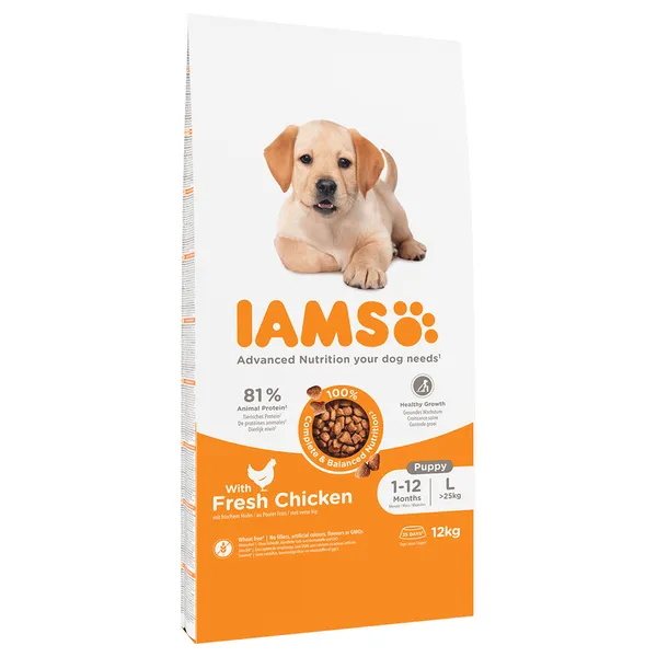 IAMS Puppy & Junior Large poulet - Croquettes pour chien