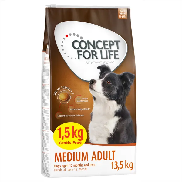 Concept for Life - Medium Adult