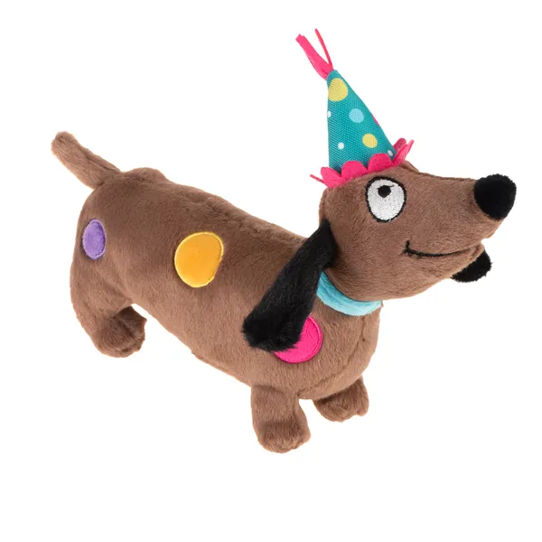 Jouet B'day Dog, pour chien
