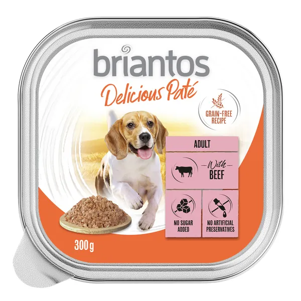 Briantos Delicious Paté 9 x 300 g pour chien – bœuf