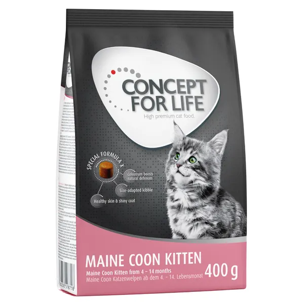 Maine Coon Kitten Concept for Life - Croquettes pour chat